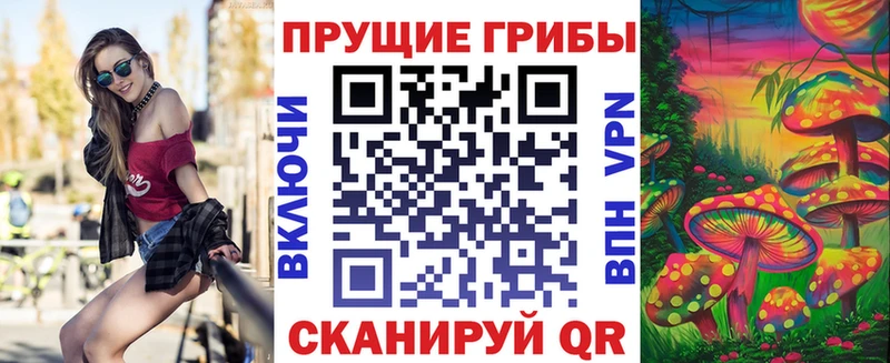 Галлюциногенные грибы мицелий как найти закладки Чухлома